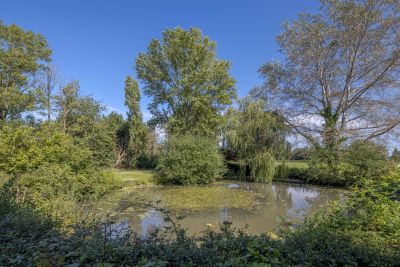 maison 7 Pièces en vente sur ST ANTONIN DE SOMMAIRE (27250) Vente Maison Saint-Antonin-de-Sommaire 7 Pièces 260 m²