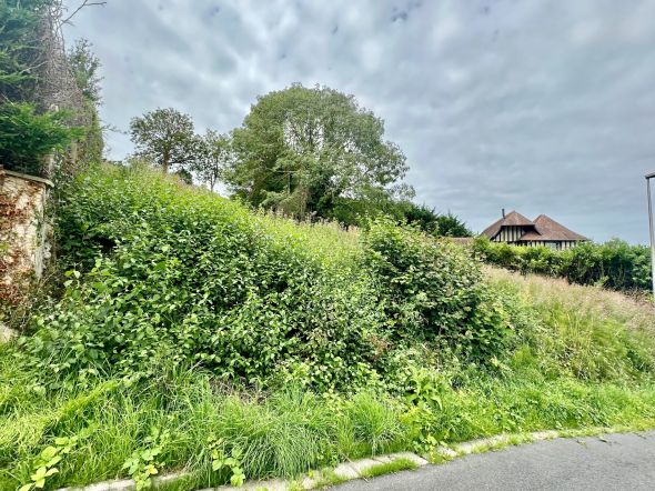 Sale Land Saint-Arnoult 1577 m²