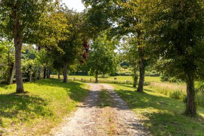 Vente Maison Beaumont-en-Auge 8 Pièces 290 m²