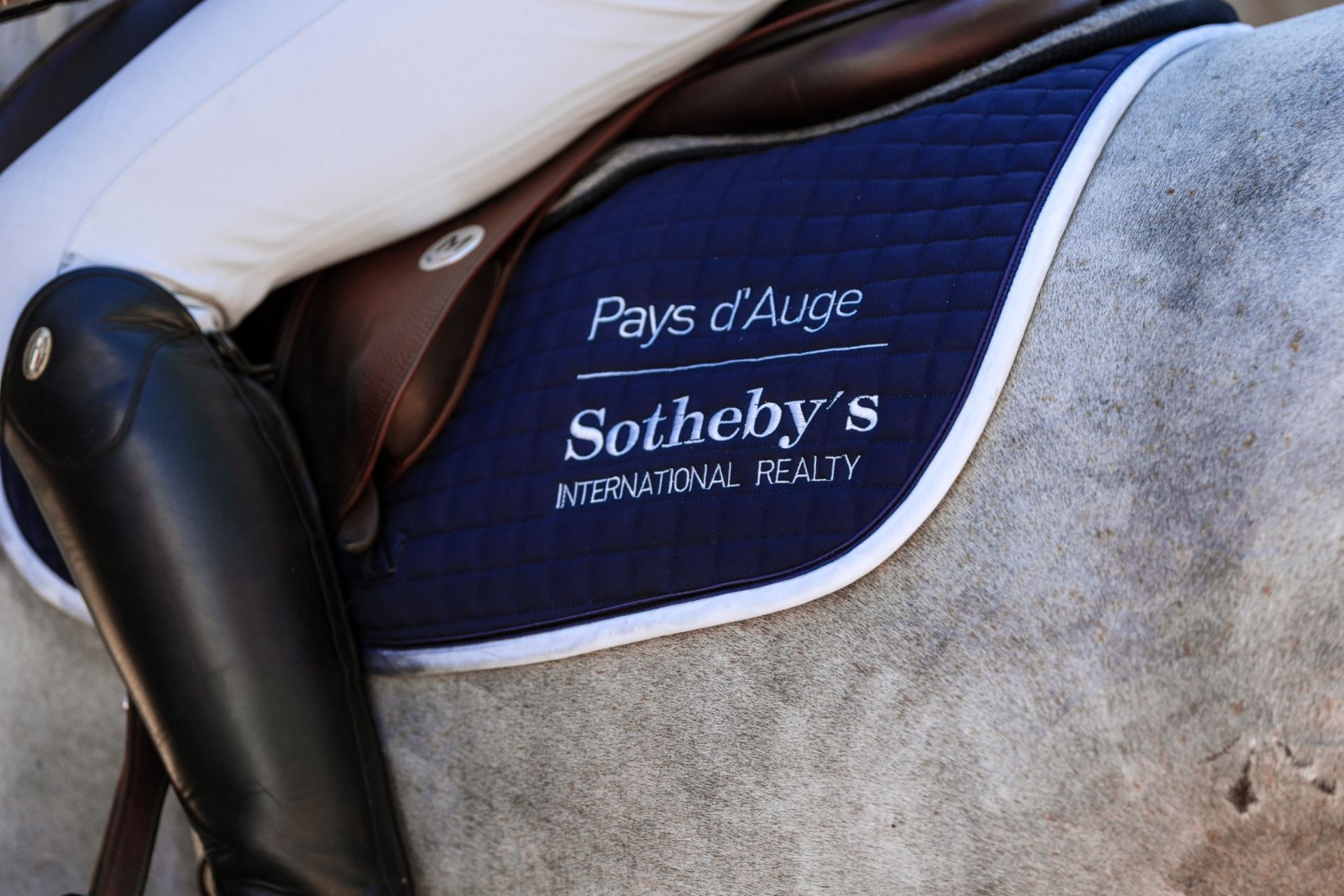 equestrian property 9 Rooms for sale on REUX (14130)