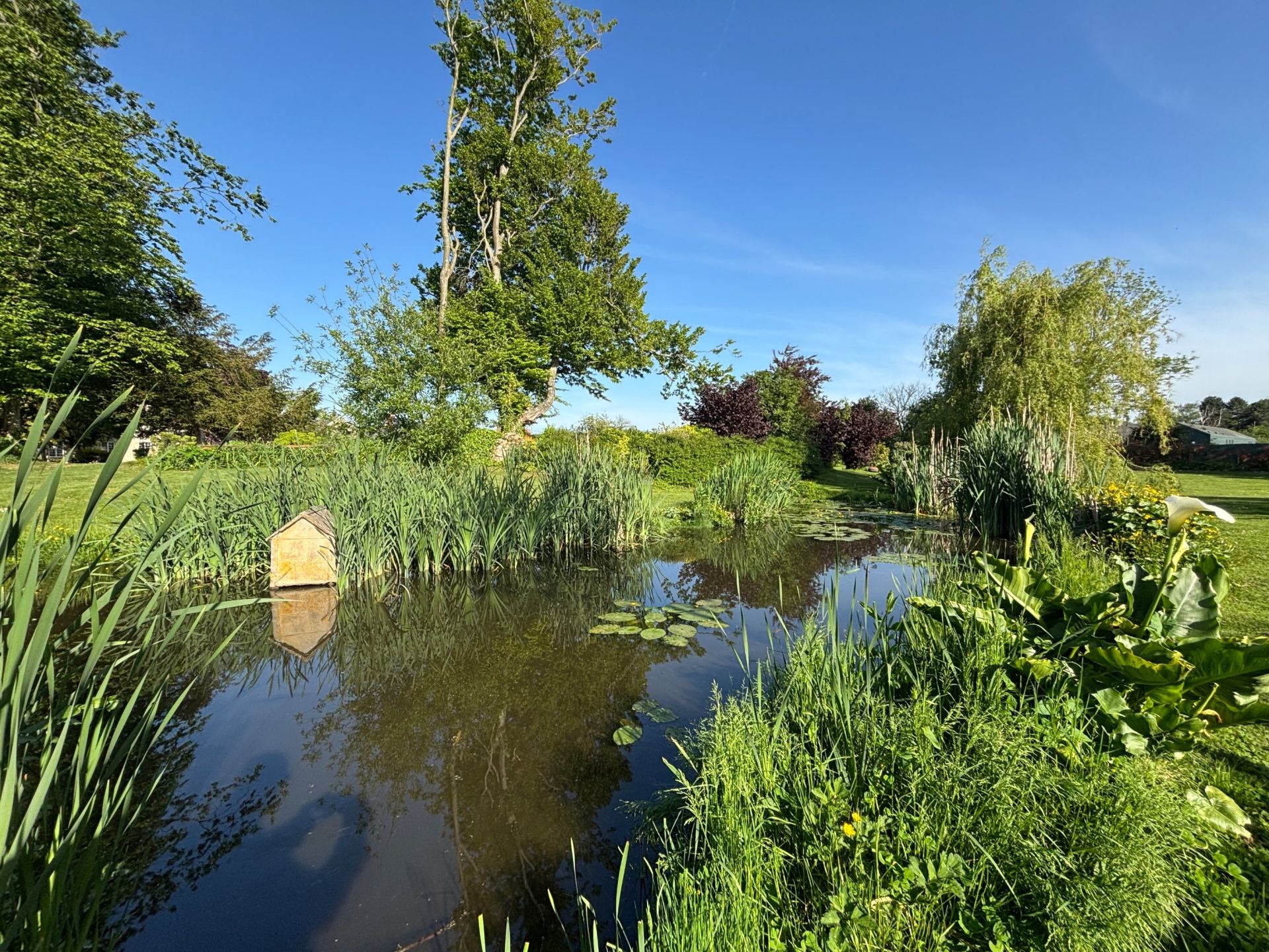 house 11 Rooms for sale on LESSAY (50430)