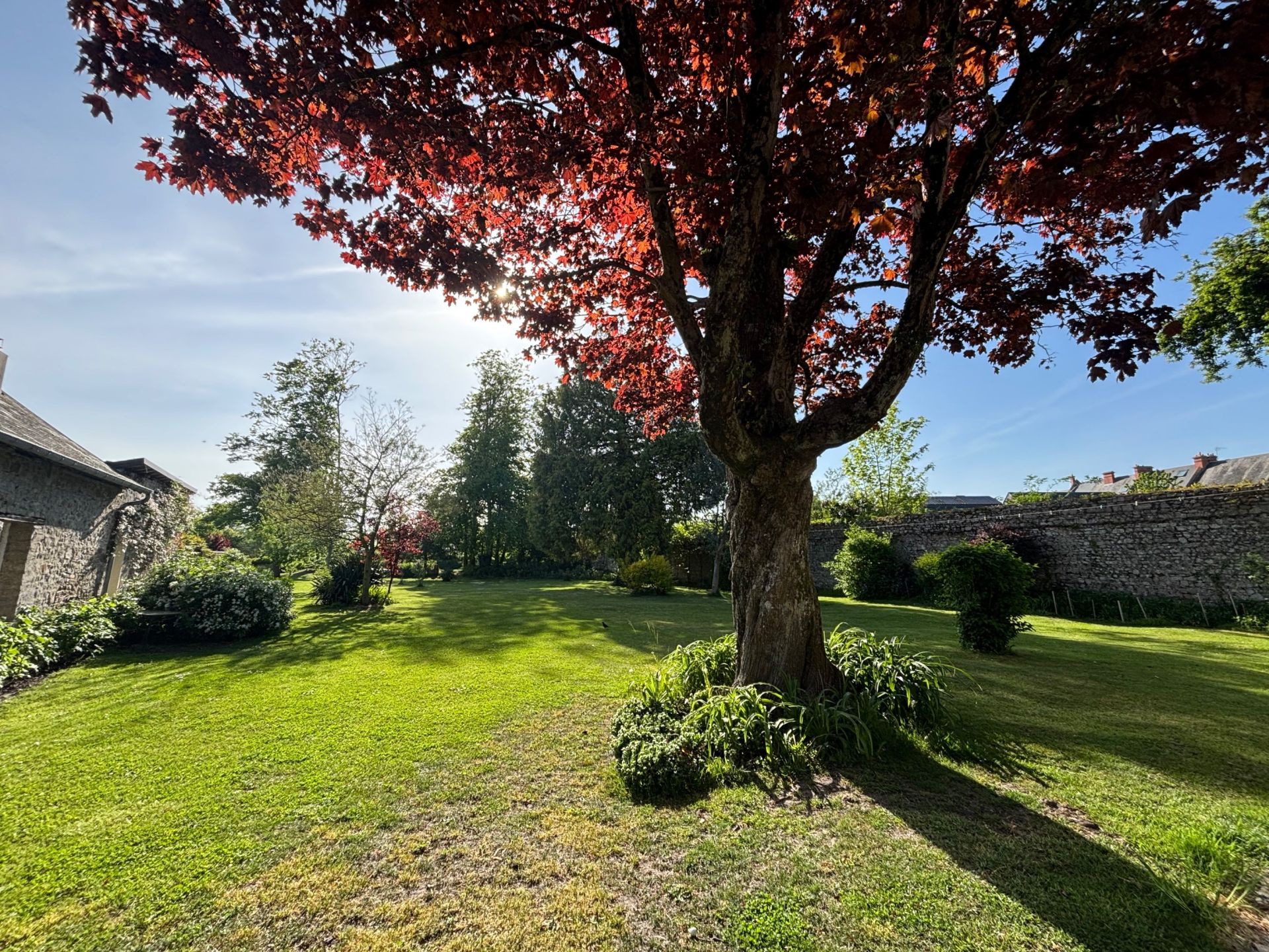 house 11 Rooms for sale on LESSAY (50430)