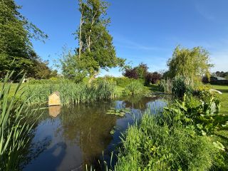 house 11 Rooms for sale on LESSAY (50430)