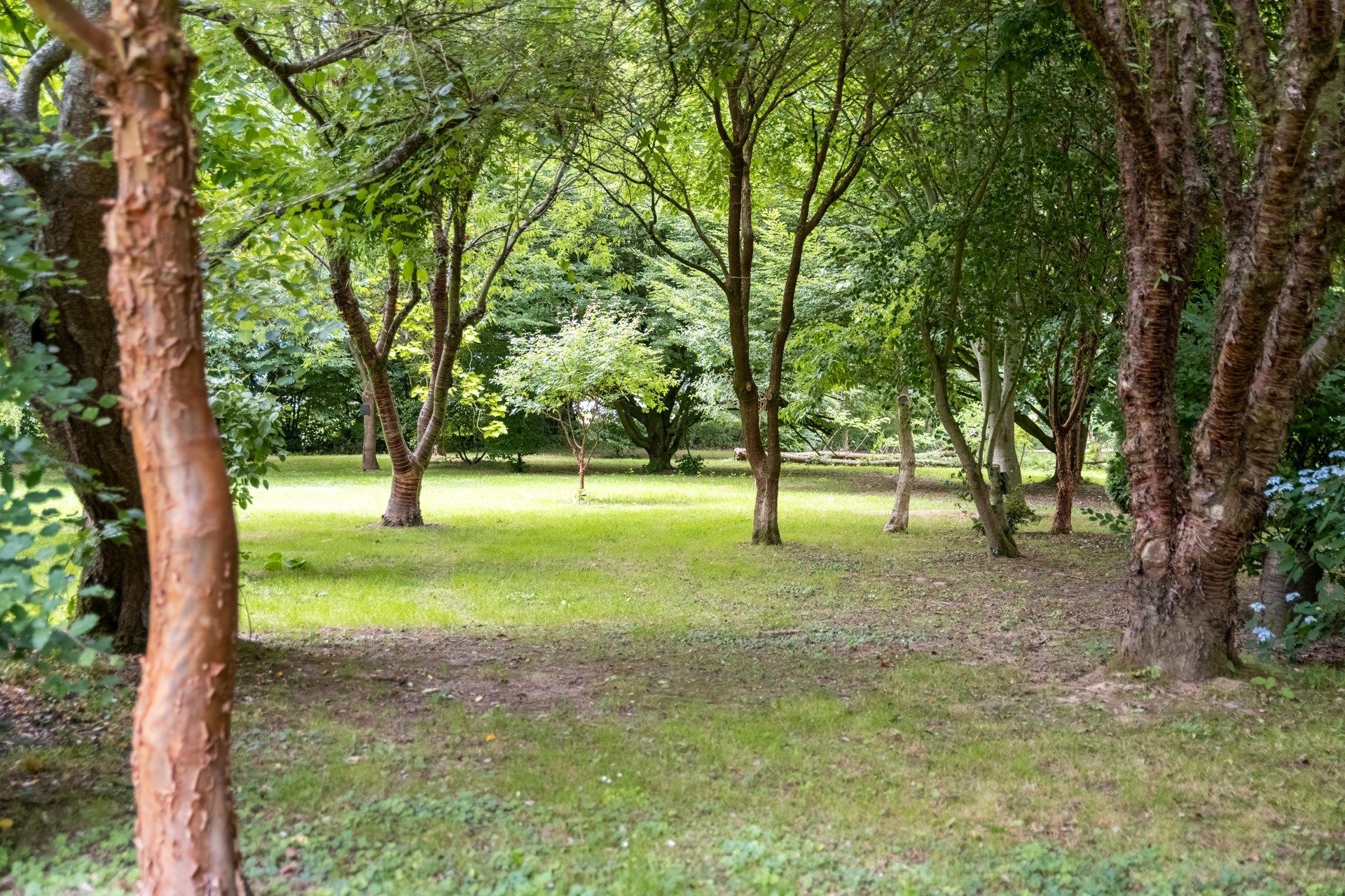 maison 9 Pièces en vente sur GONNEVILLE SUR SCIE (76590)