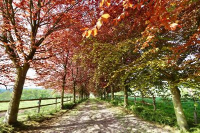 Sale Manor house Écaquelon 15 Rooms 41007 m²