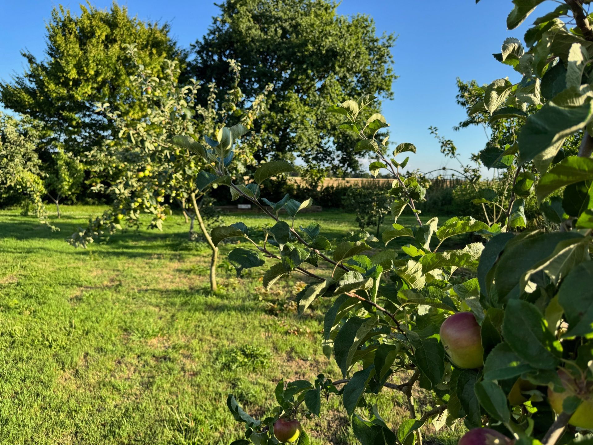 house 7 Rooms for sale on BARENTIN (76360)