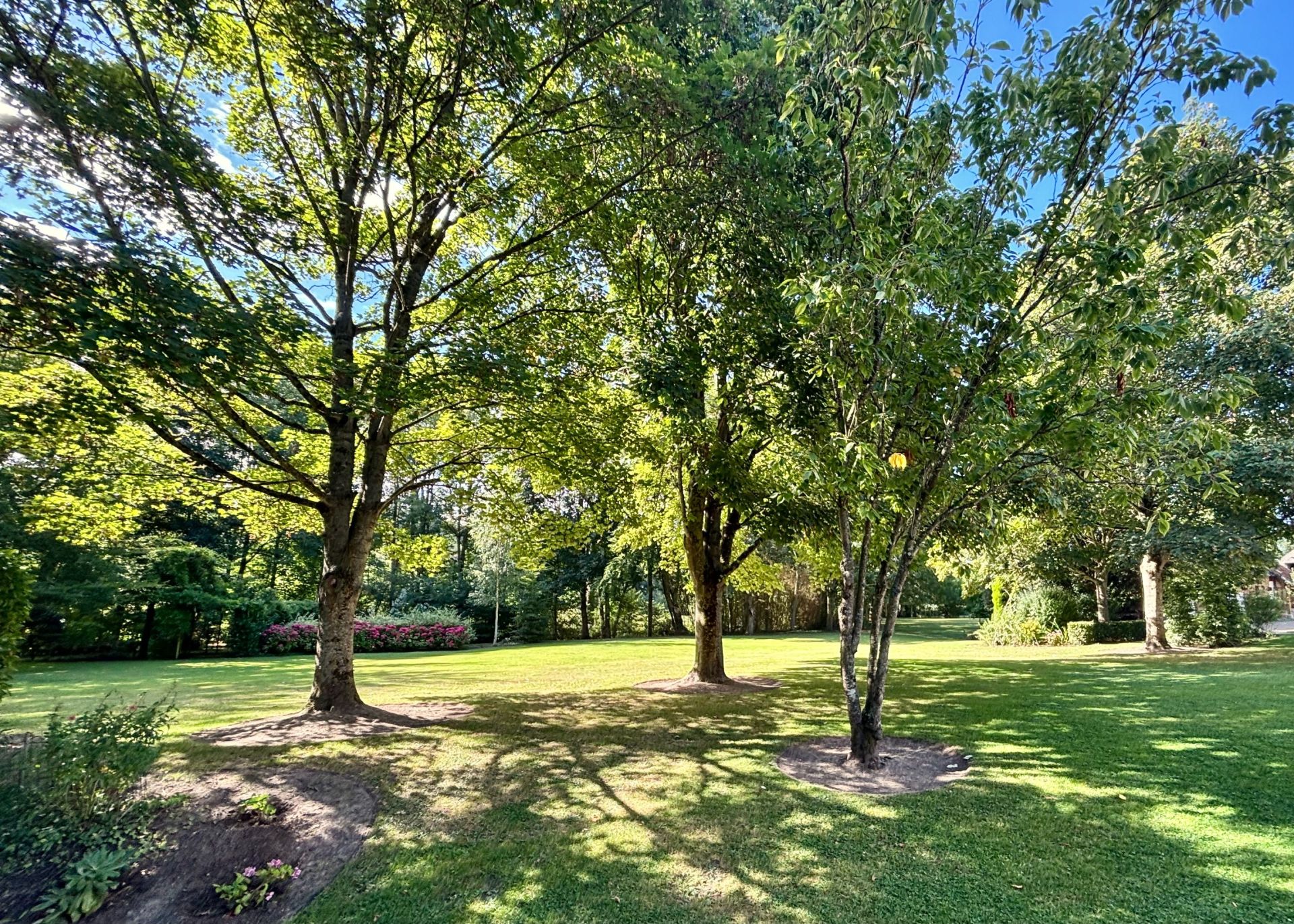 manor house 8 Rooms for sale on RUMESNIL (14340)