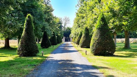 Sale Mansion Deauville 16&nbsp;Rooms 512&nbsp;m²