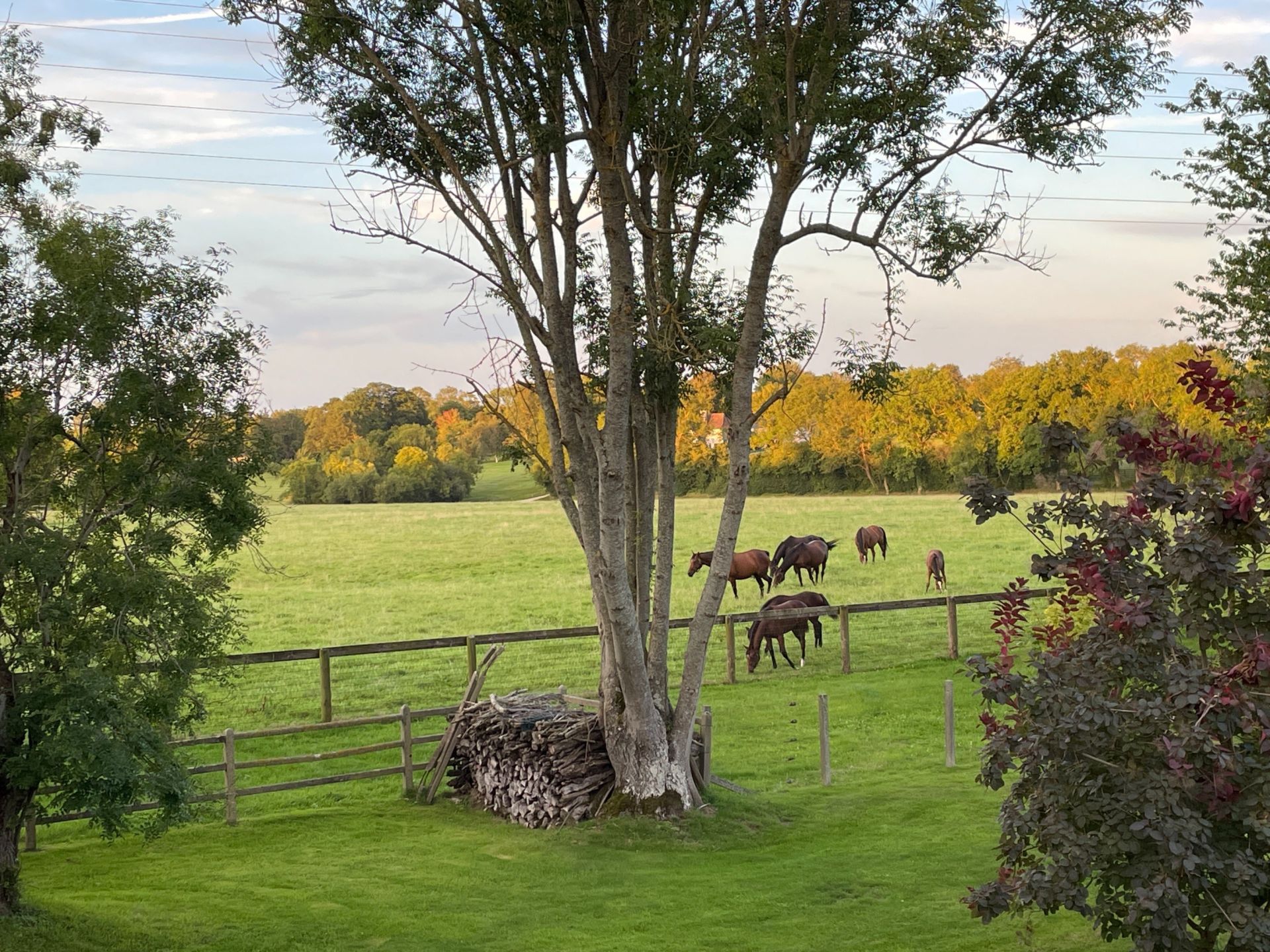 house 6 Rooms for sale on PONT L EVEQUE (14130)