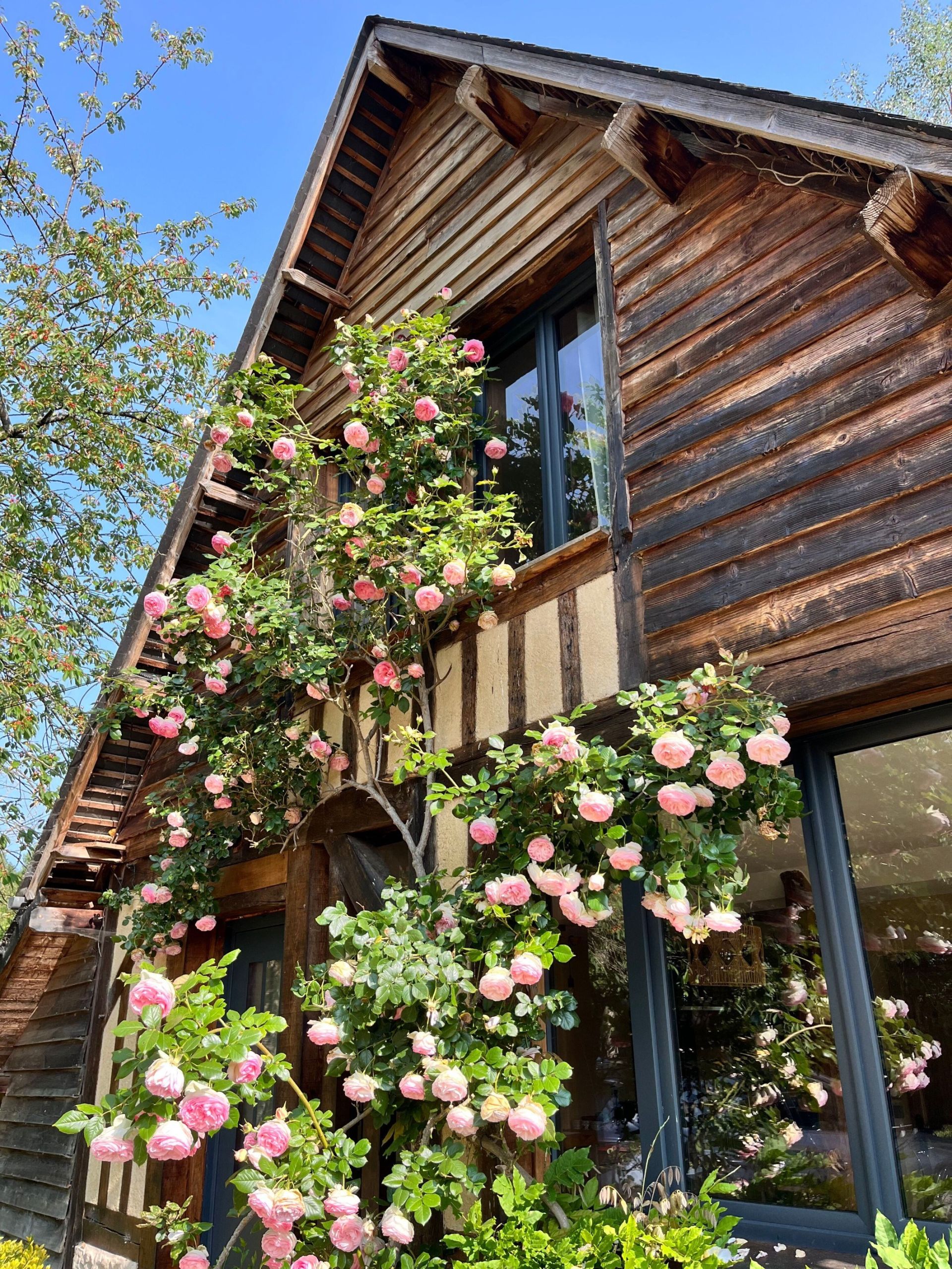 house 10 Rooms for sale on CAMBREMER (14340)