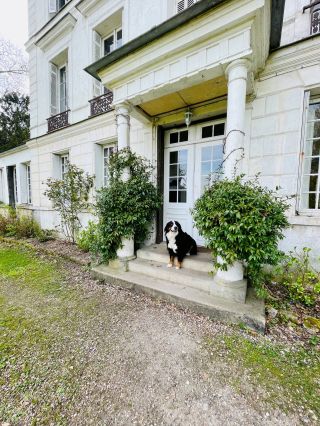 mansion 10 Rooms for sale on CAUMONT (27310)