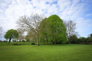 house 9 Rooms for sale on BAYEUX (14400)