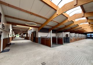 propriété équestre 28 Pièces en vente sur VAUVILLE (14800)