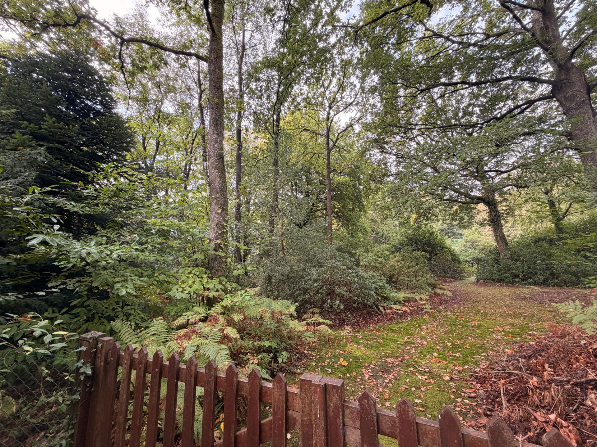 terrain à bâtir en vente sur ST GATIEN DES BOIS (14130)