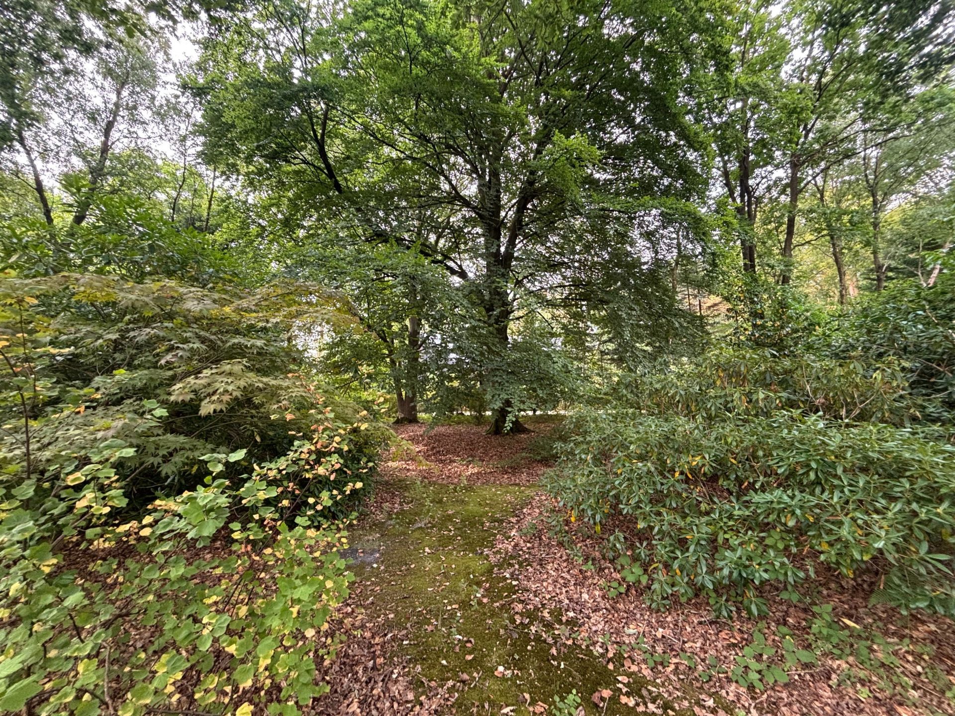 terrain à bâtir en vente sur ST GATIEN DES BOIS (14130)
