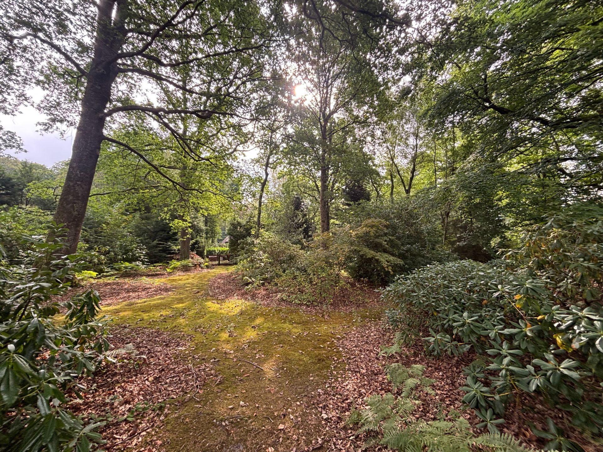 terrain à bâtir en vente sur ST GATIEN DES BOIS (14130)