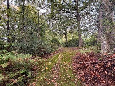 Vente Terrain à bâtir Saint-Gatien-des-Bois 3811&nbsp;m²