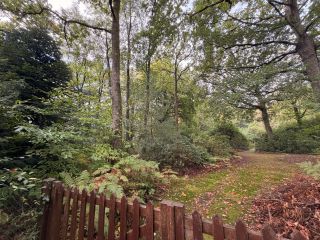 terrain à bâtir en vente sur ST GATIEN DES BOIS (14130)