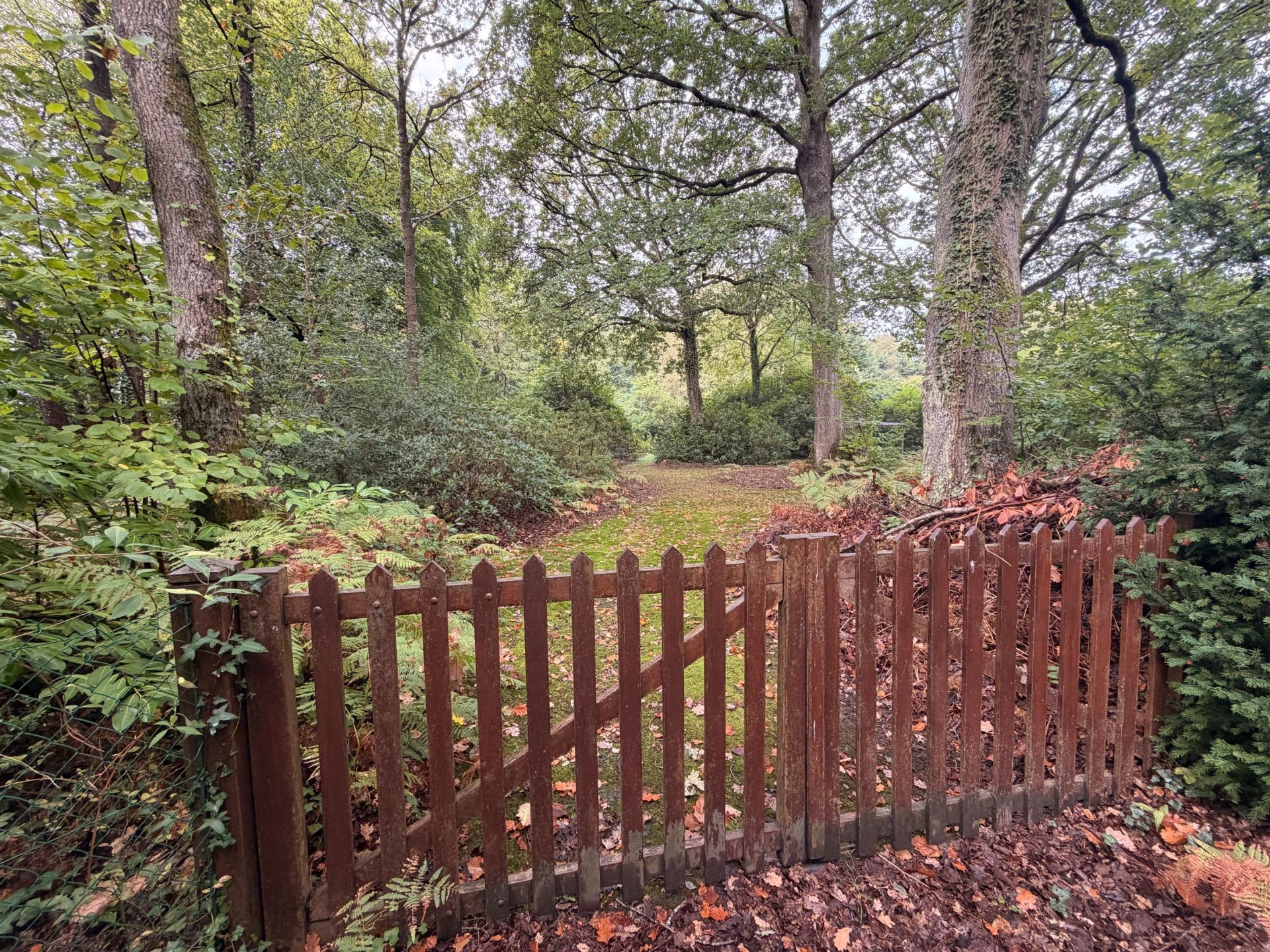 maison 5 Pièces en vente sur ST GATIEN DES BOIS (14130)