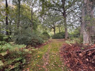 maison 5 Pièces en vente sur ST GATIEN DES BOIS (14130)