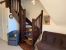 Vente Appartement Deauville 2 Pièces 33 m²