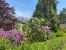 house 8 Rooms for sale on STE HONORINE DE DUCY (14240)