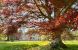 castle 17 Rooms for sale on PETIT CAUX (76370)